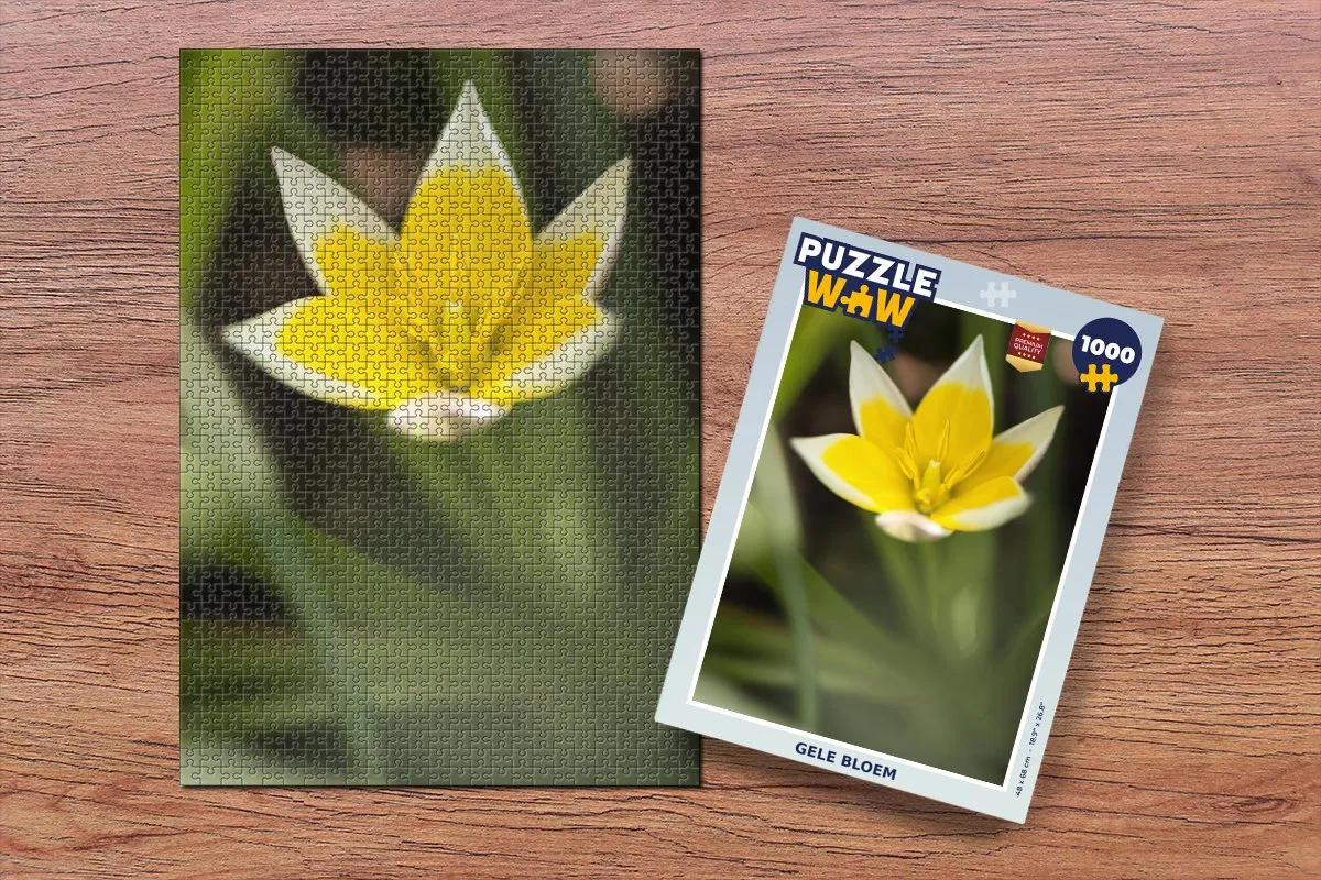 PuzzleWow Bloem Tuin Legpuzzel 1000 Stuks - Multicolor