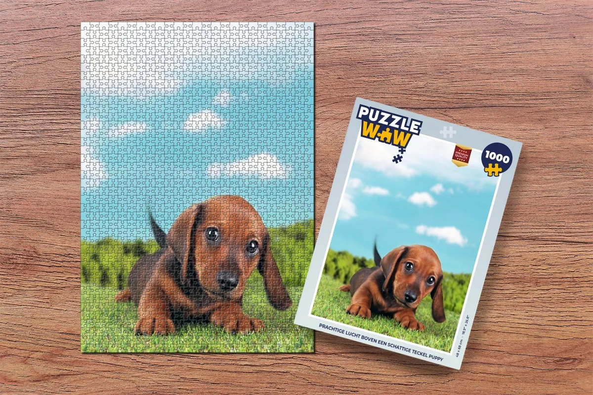 PuzzleWow Legpuzzel 1000 Stuks - Multicolor