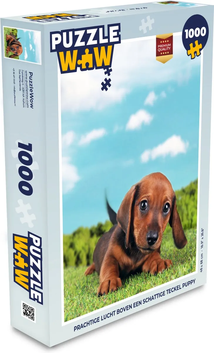 PuzzleWow Legpuzzel 1000 Stuks
