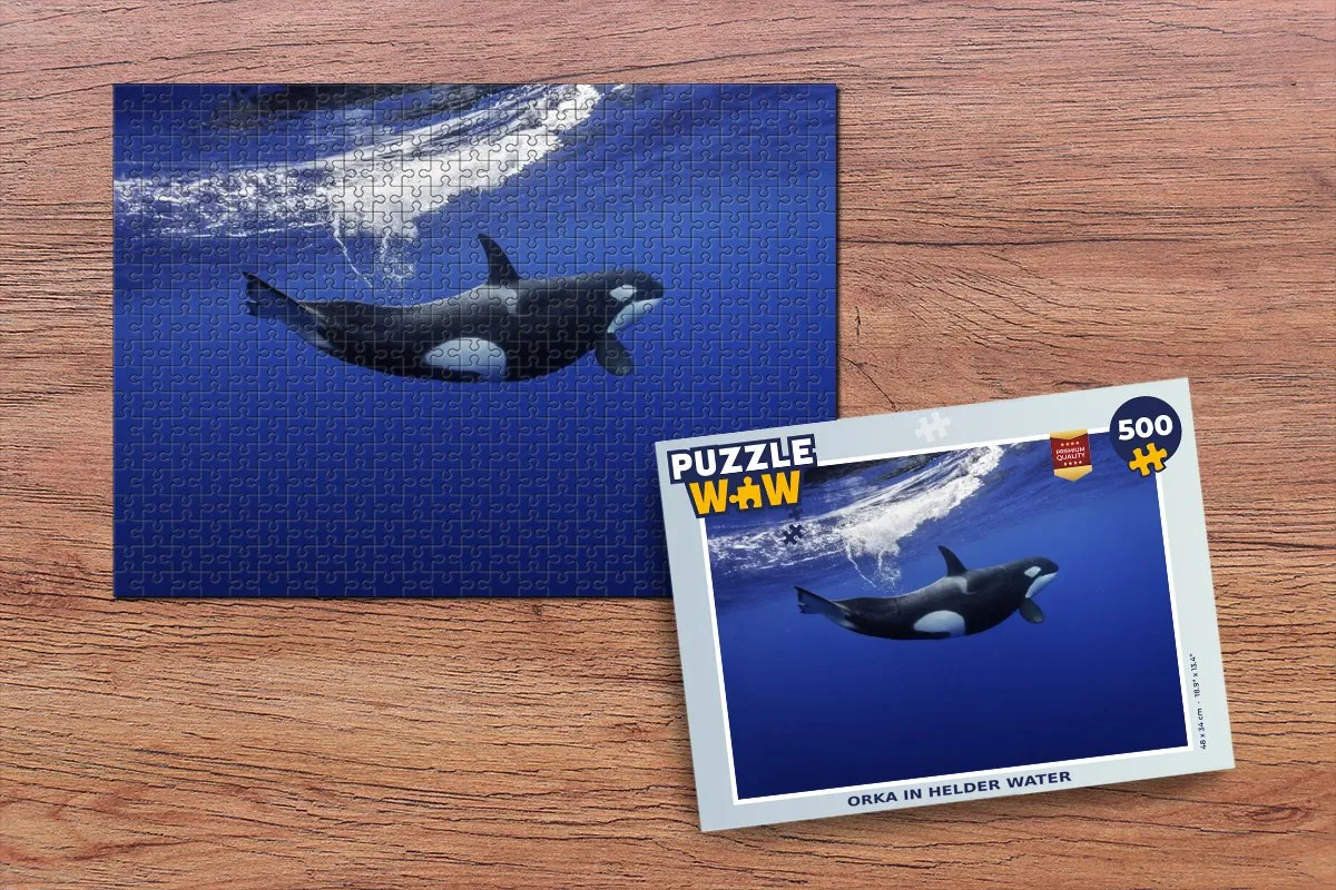 PuzzleWow Orka in Helder Water Legpuzzel 500 Stuks - Multicolor