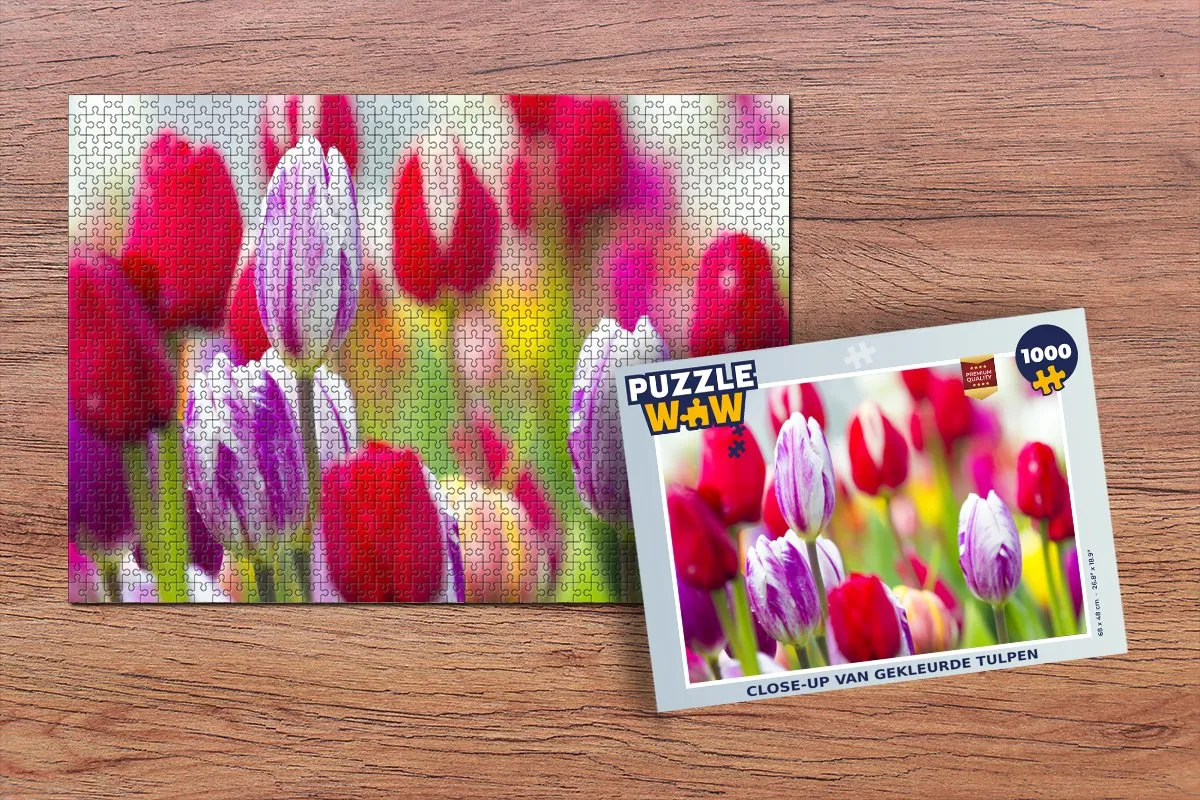 PuzzleWow Legpuzzel 1000 Stuks - Multicolor