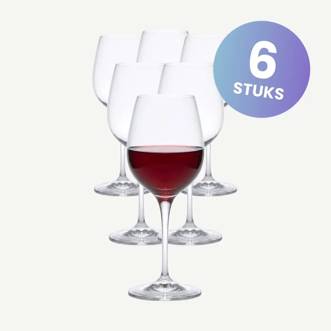 RCR Invino Wijnglazen 45cl