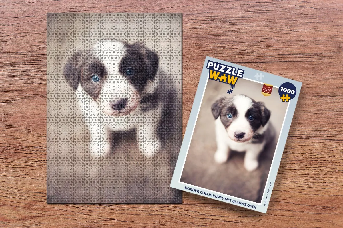 PuzzleWow Border Collie Puppy Legpuzzel 1000 Stuks - Multicolor