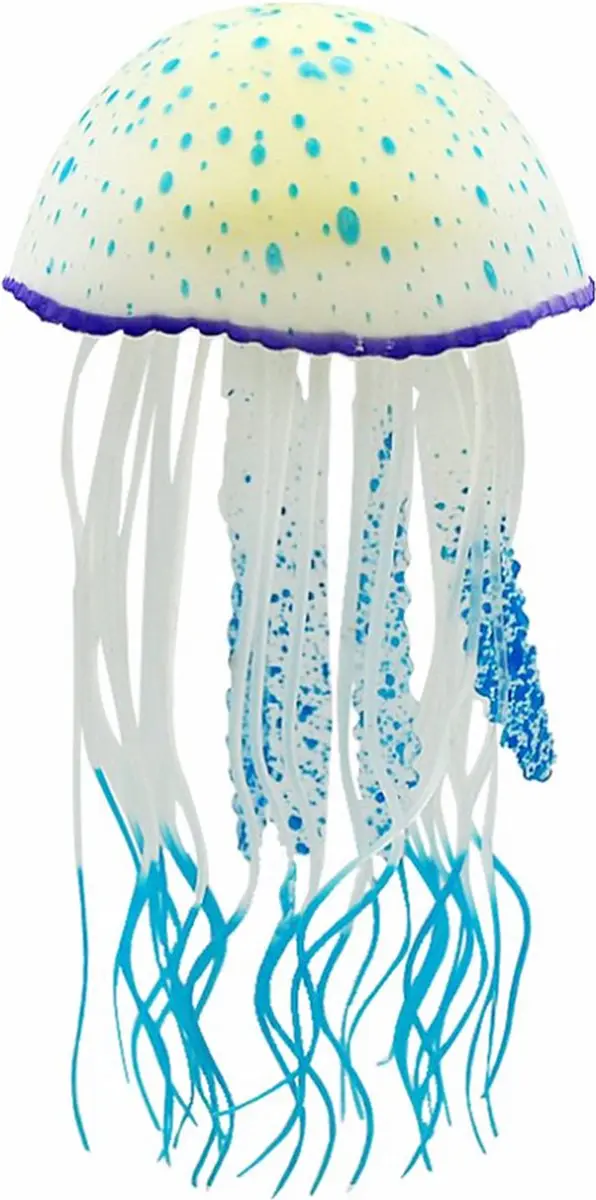 Nobleza Aquariuminrichting