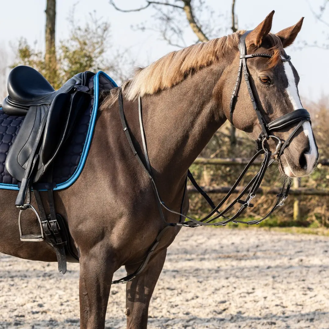 QHP Thiedeman Teugel Set Full - Zwart - afbeelding 3 van 6