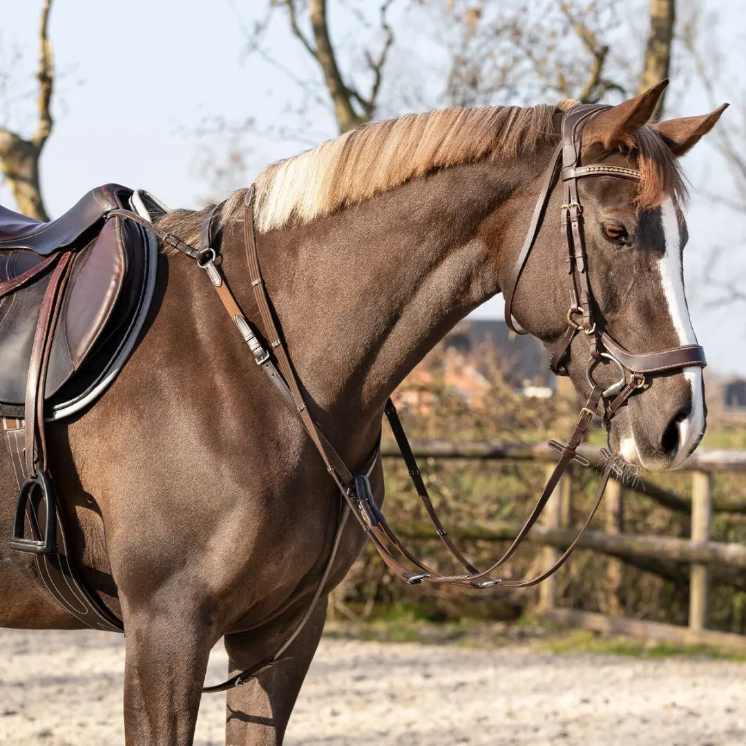QHP Basic Pro Borsttuig - Bruin - Cob - afbeelding 6 van 6
