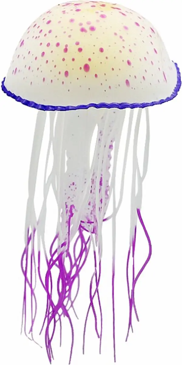 Nobleza aquarium decoratie