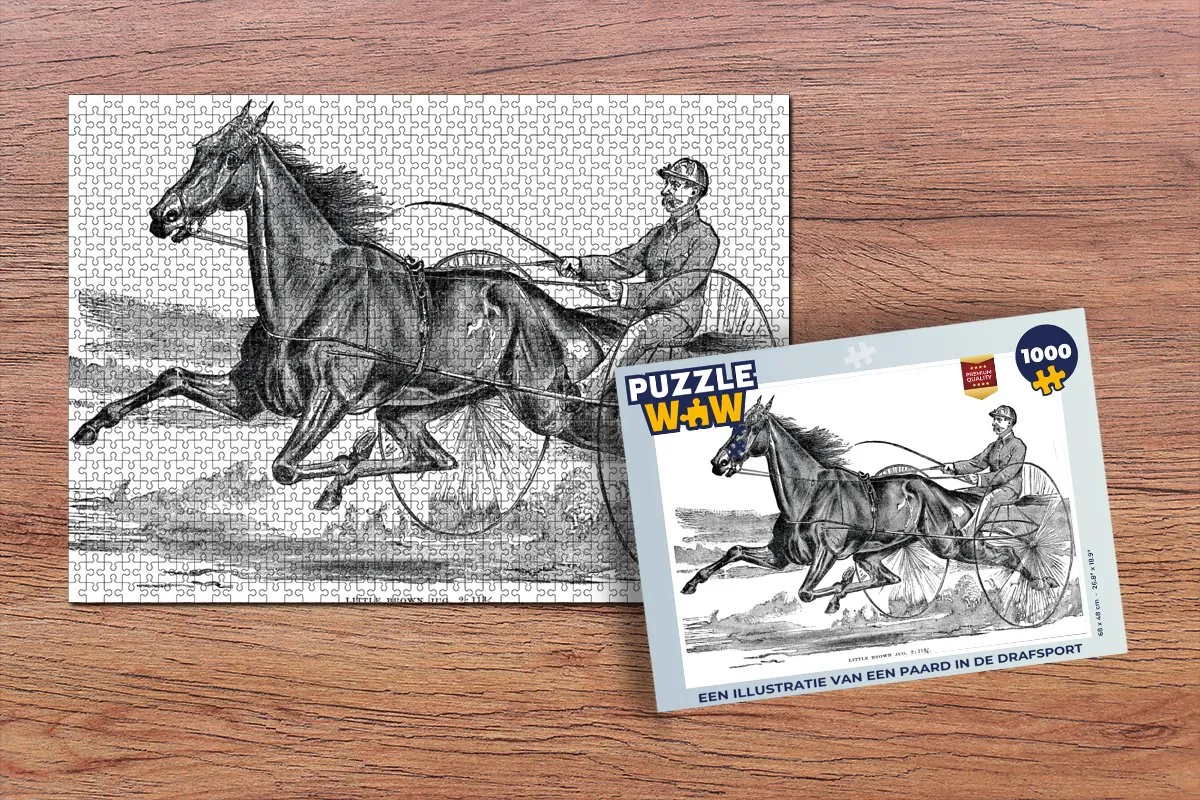 PuzzleWow Legpuzzel Paard Drafsport 1000 Stuks