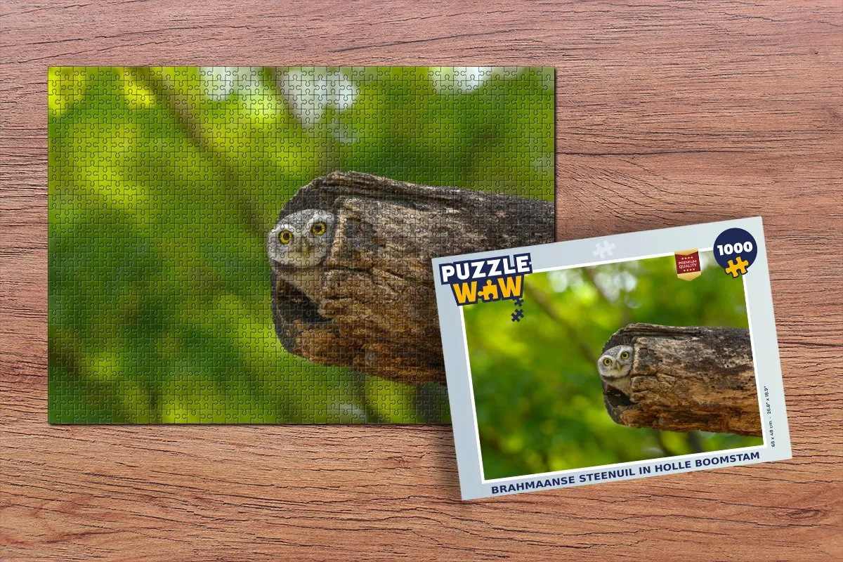 PuzzleWow Boom Legpuzzel 1000 Stuks - Multicolor