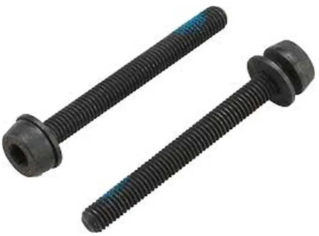 Campagnolo Bouten Schijfremklauw Achter 44mm - 2 Stuks - afbeelding 3 van 4