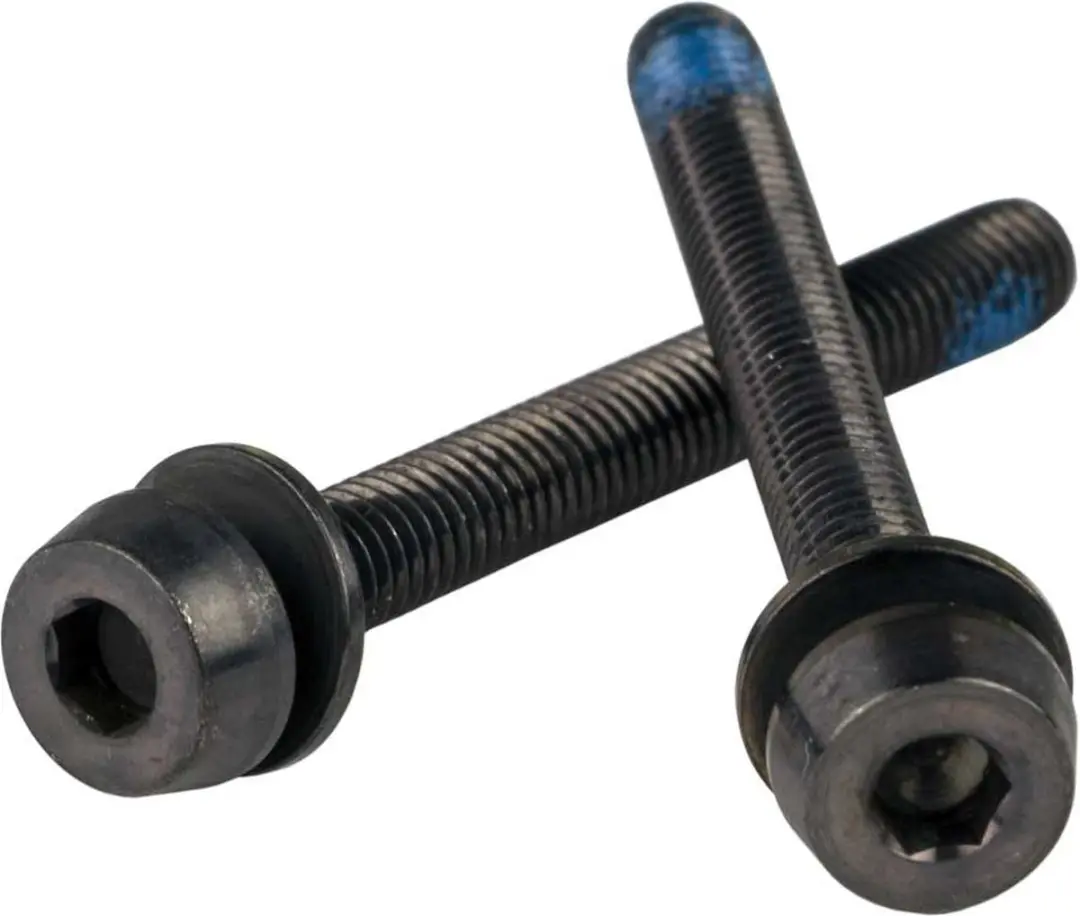 Campagnolo Bouten Schijfremklauw Achter 44mm - 2 Stuks - afbeelding 4 van 4
