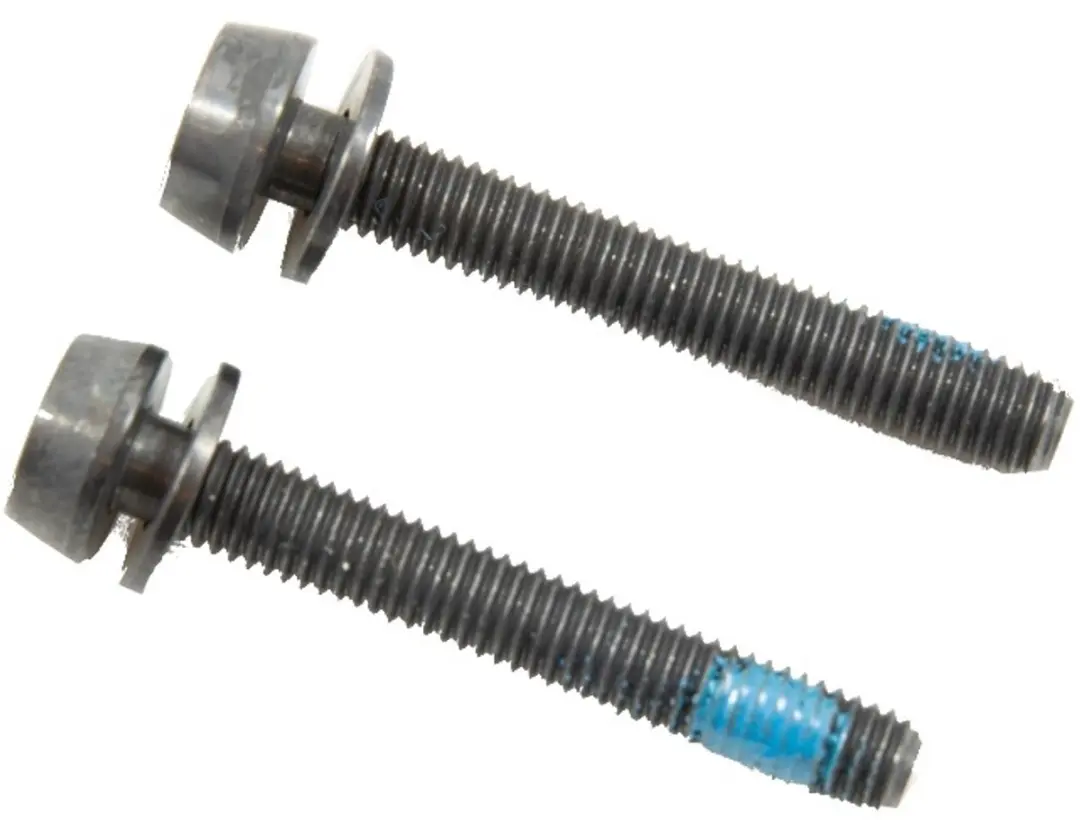 Campagnolo Bouten Schijfremklauw Achter 44mm - 2 Stuks - afbeelding 2 van 4