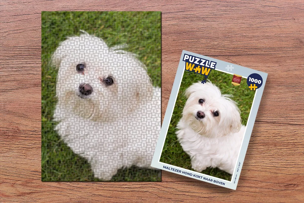 PuzzleWow Maltezer Hond 1000 Puzzeldelen