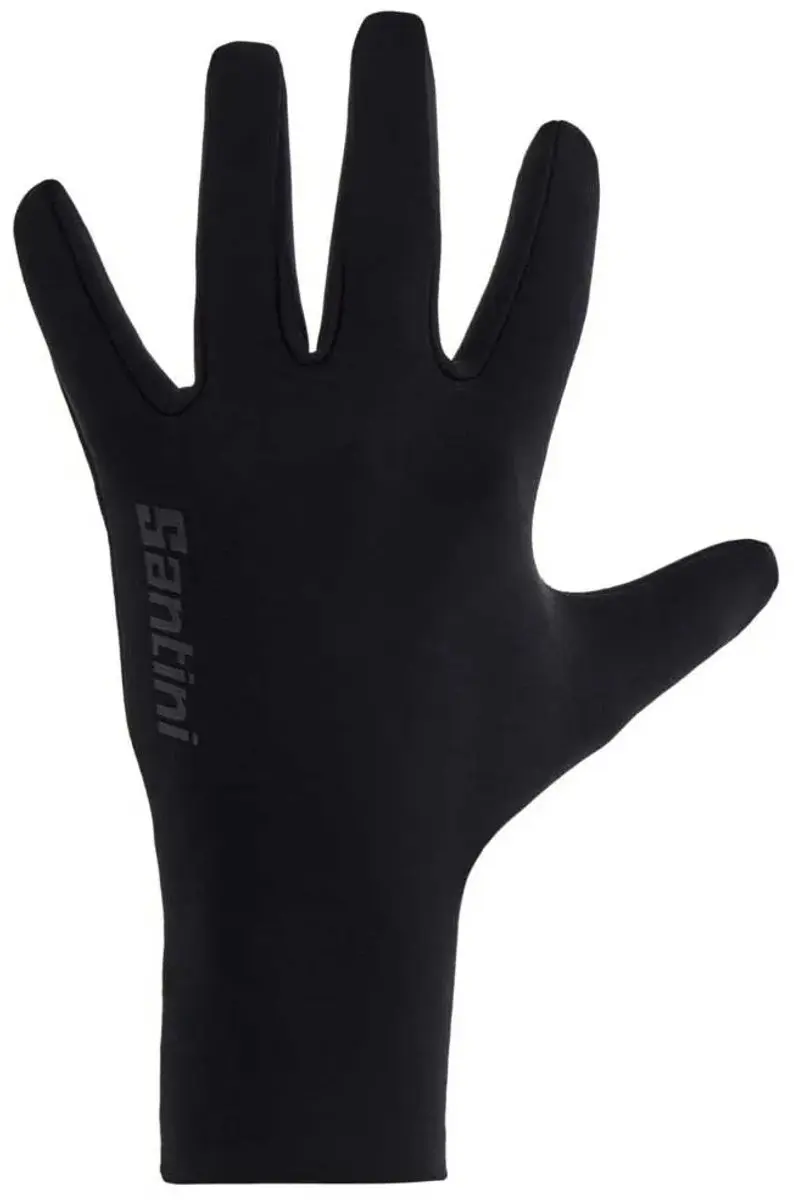 Santini Aldo Winter Handschoenen