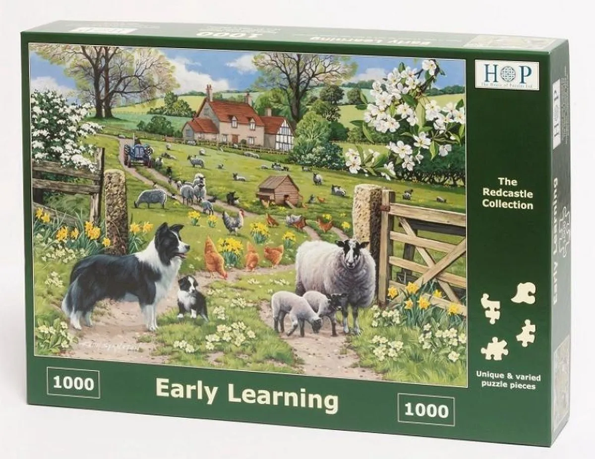 House Of Puzzles Legpuzzel 1000 Stuks