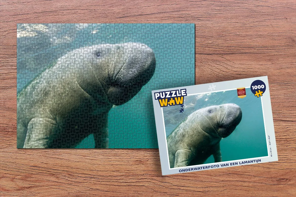 PuzzleWow Dieren Camera Legpuzzel 1000 Stuks - Multicolor