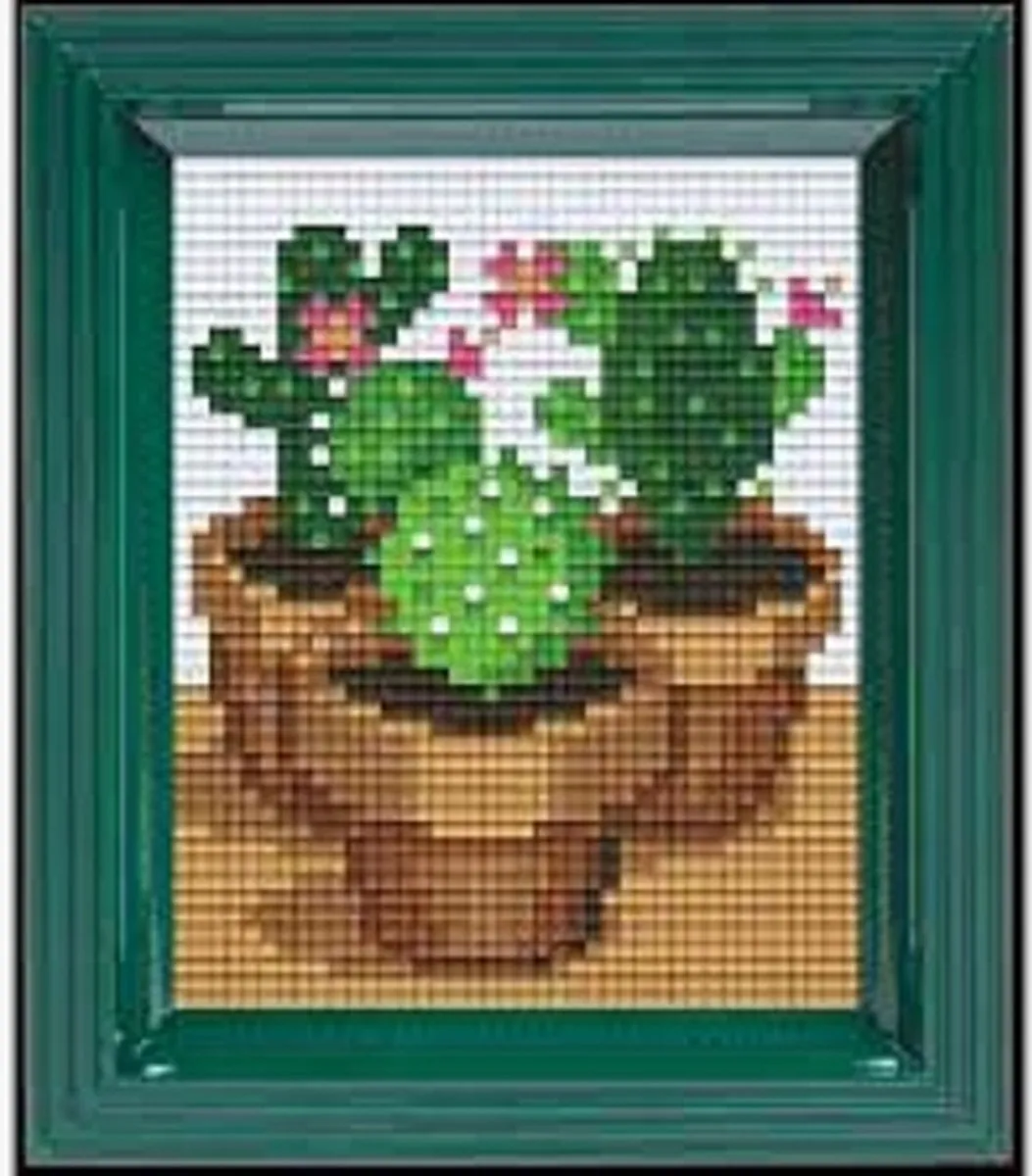Pixel Cactus Hobby Geschenkverpakking