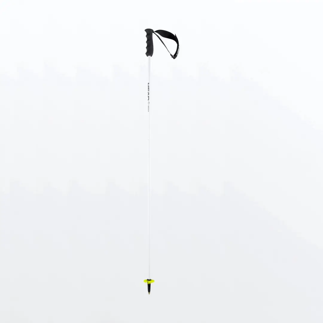 HEAD WORLDCUP REBELS CARBON skistokken-120
