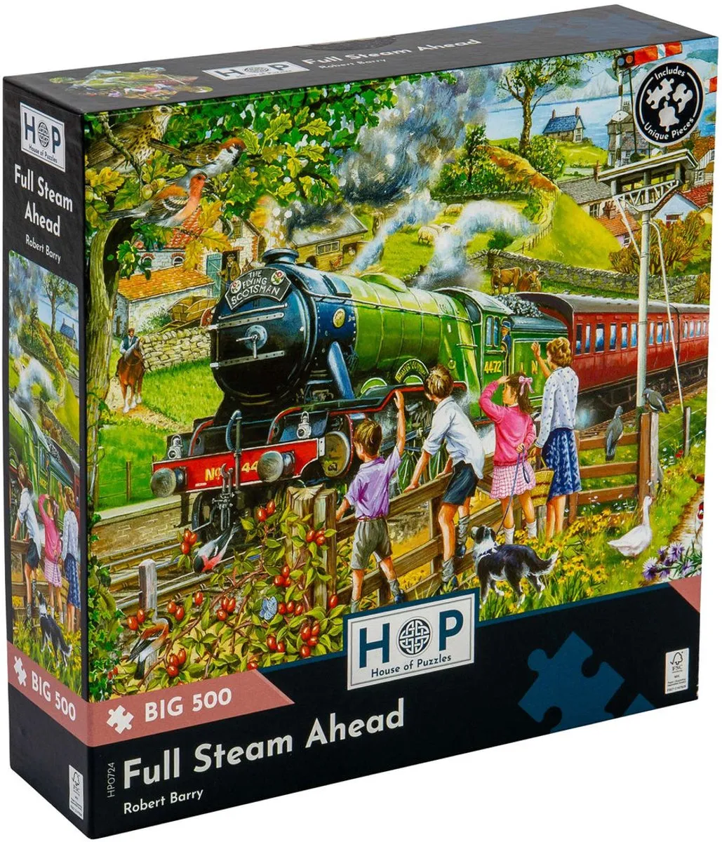 House of Puzzles Full Steam Ahead Legpuzzel 500 Stuks - Multicolor