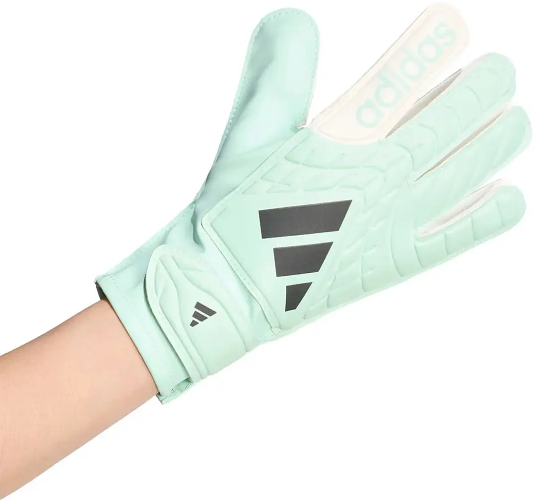 Adidas Copa Club Keepershandschoenen Groen 5 Kinderen - afbeelding 2 van 4