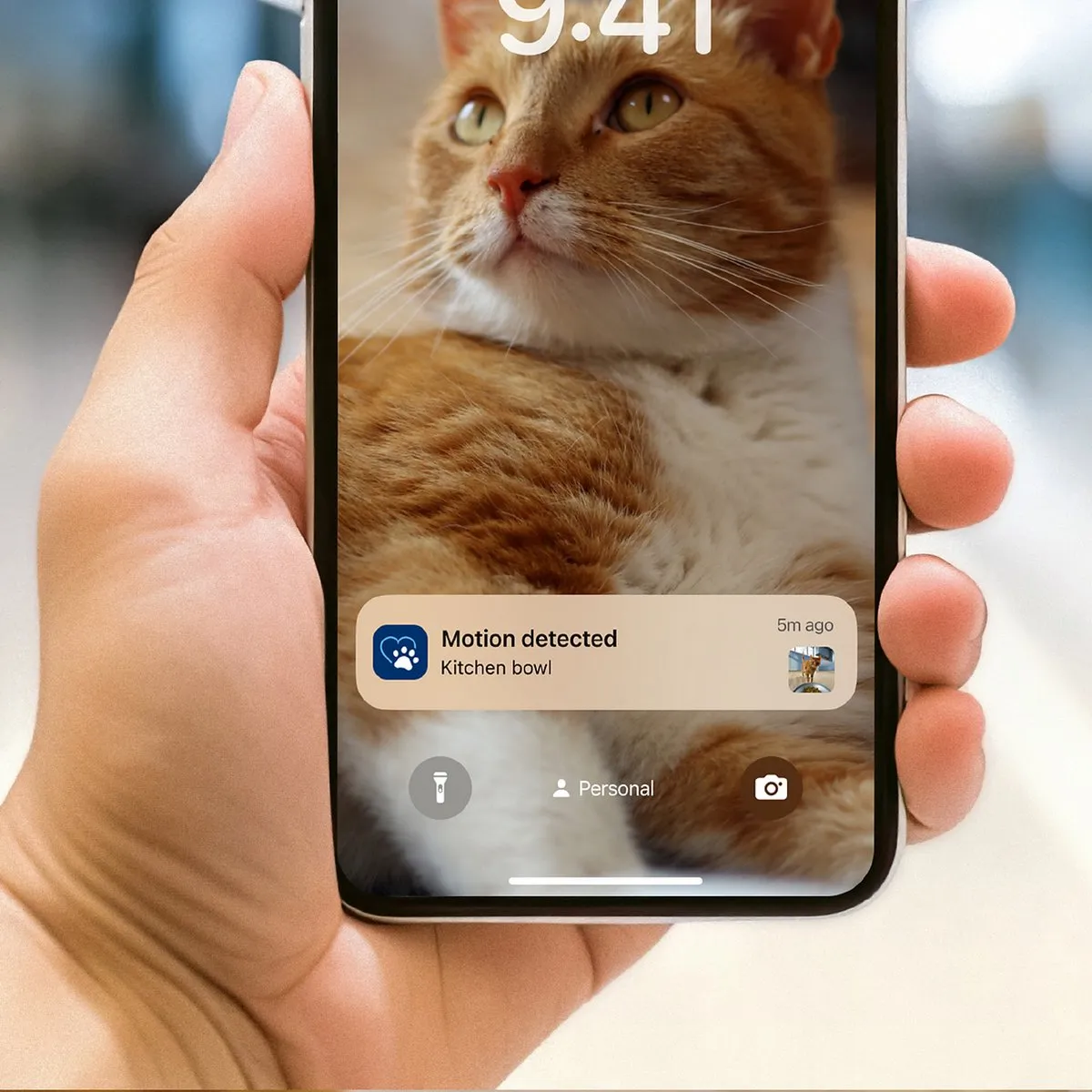 Philips Pet Series PAW5320/02 Voerautomaat met camera - 4,5L - Grijs