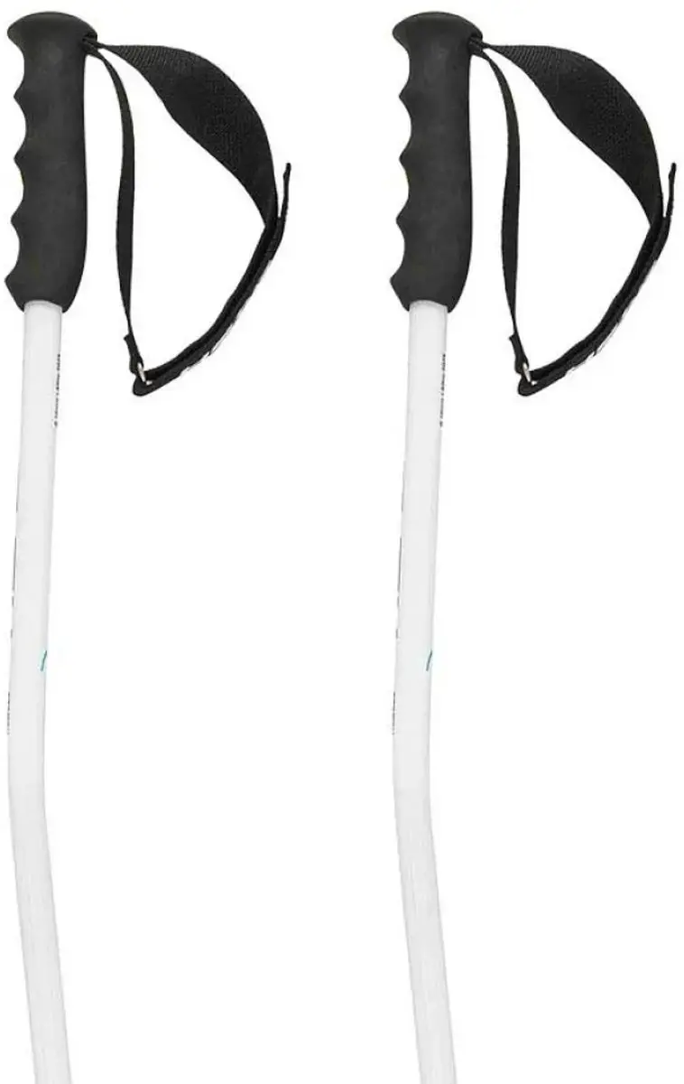 Head Worldcup Sg Stokken Zwart 125 cm