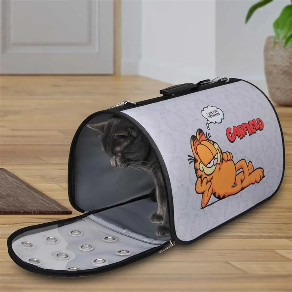 Nickelodeon Garfield KattenDraagTas - 50x31x28cm