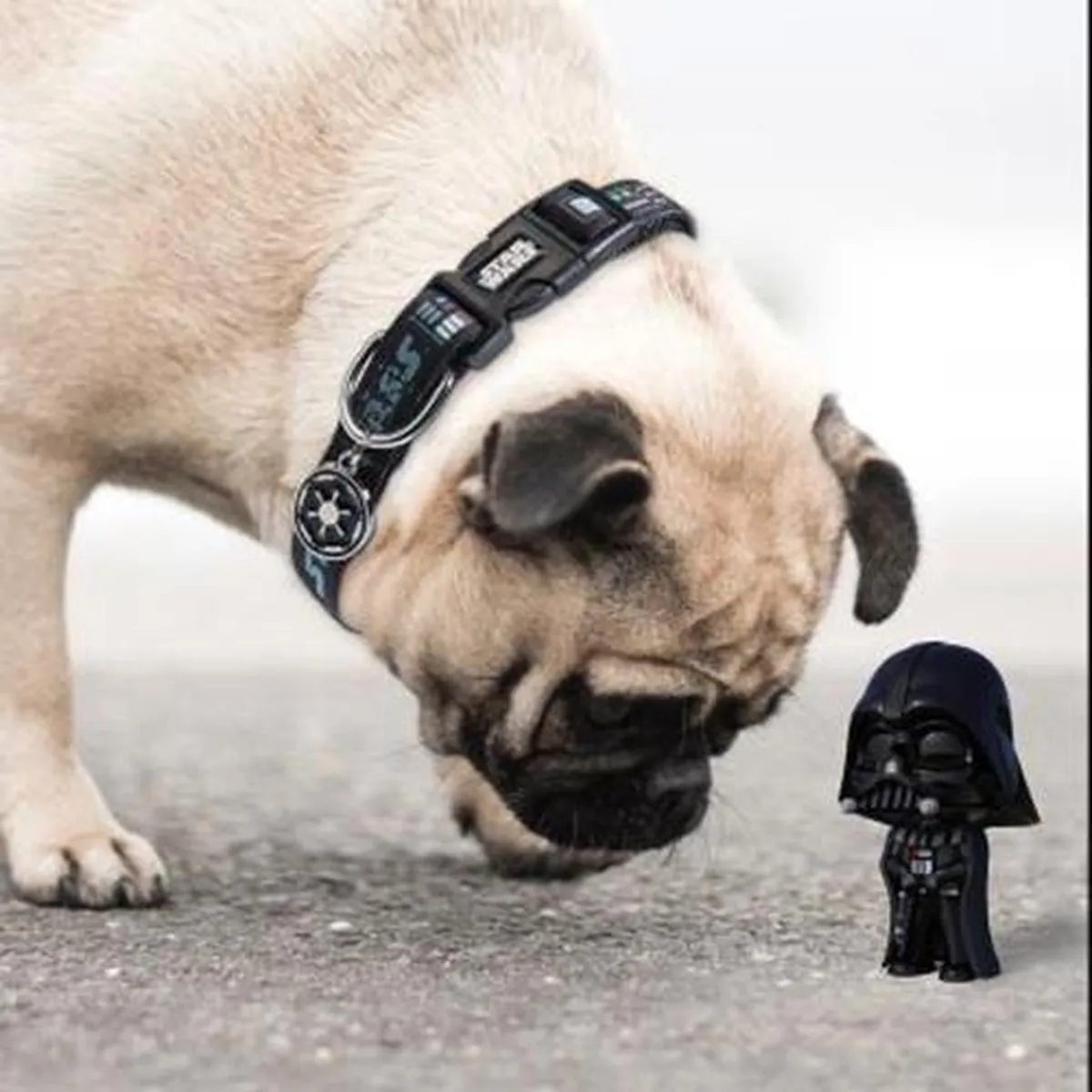 Disney Star Wars Halsband XS