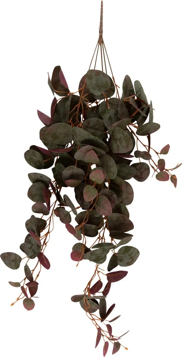 Present Time Ceropegia Kunstplant Groen