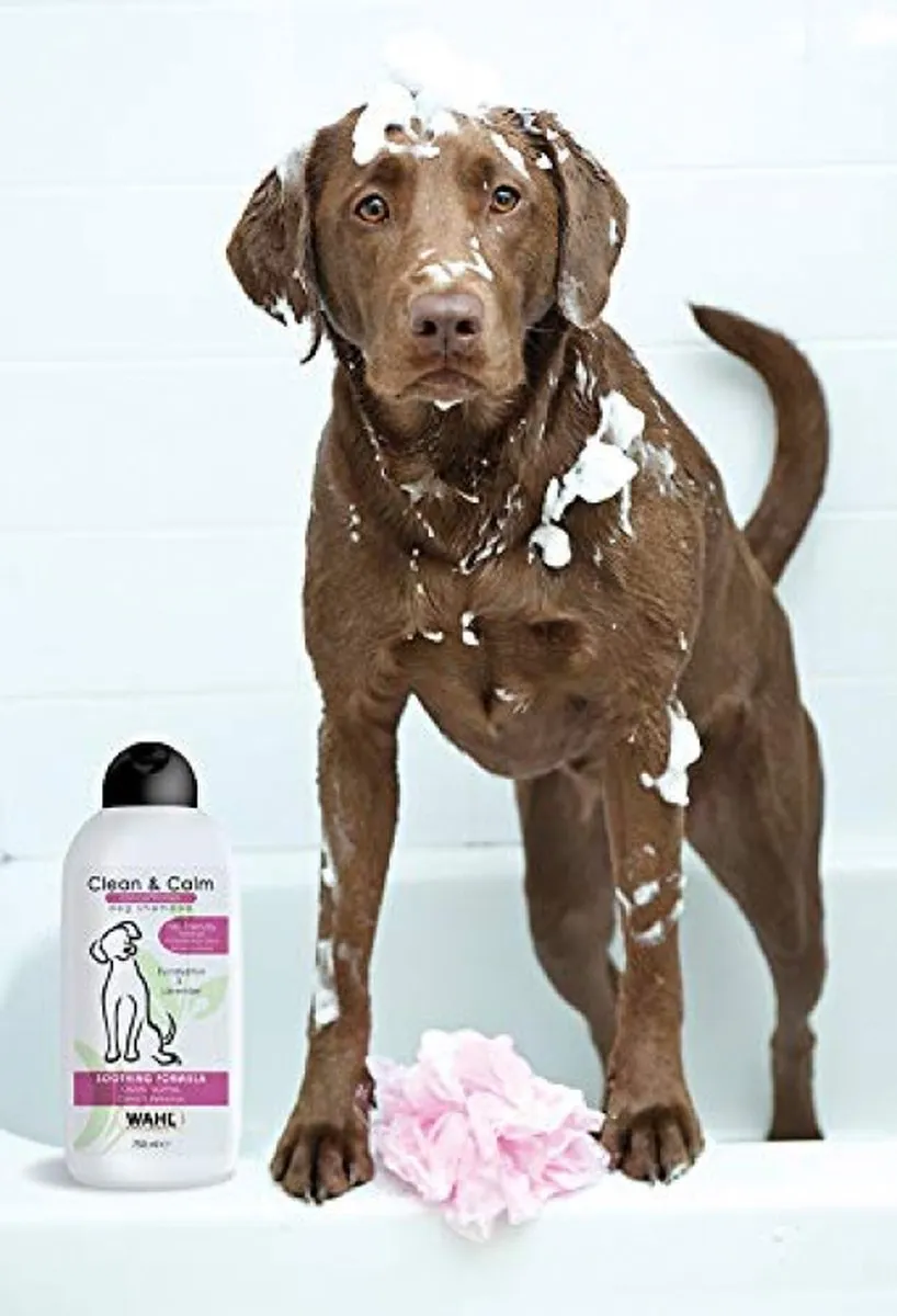 Wahl Clean and Calm Shampoo 750ml