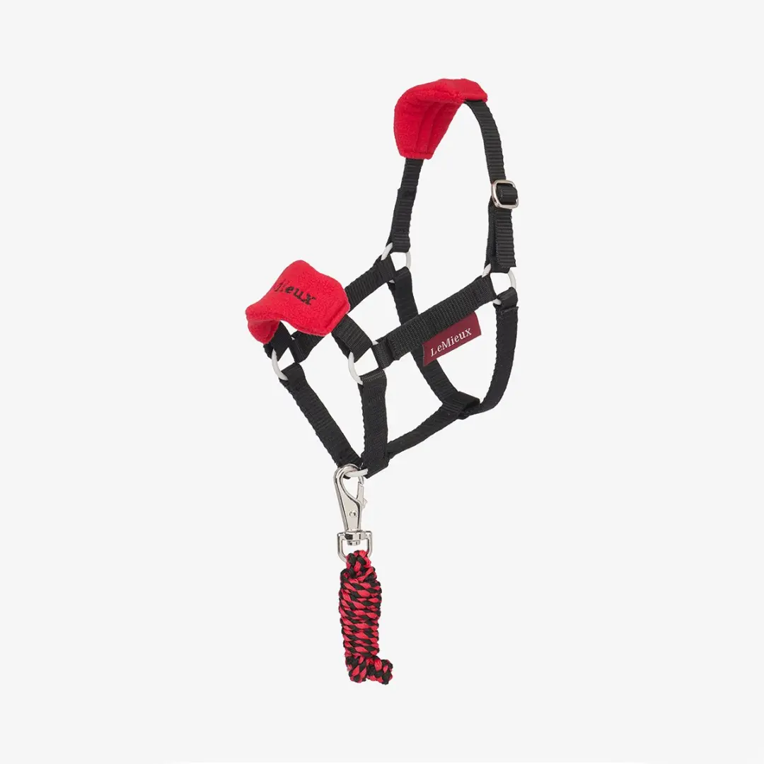 LeMieux Hobby Horse Vogue Halster - Rood - afbeelding 2 van 2
