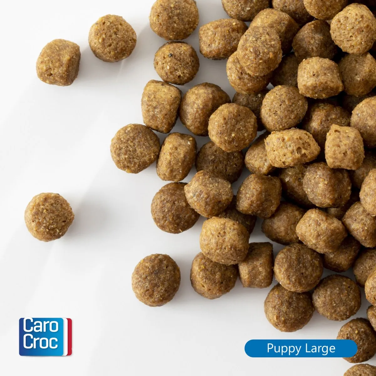CaroCroc Puppy Large 12,5 kg [25/17] met extra Snacks