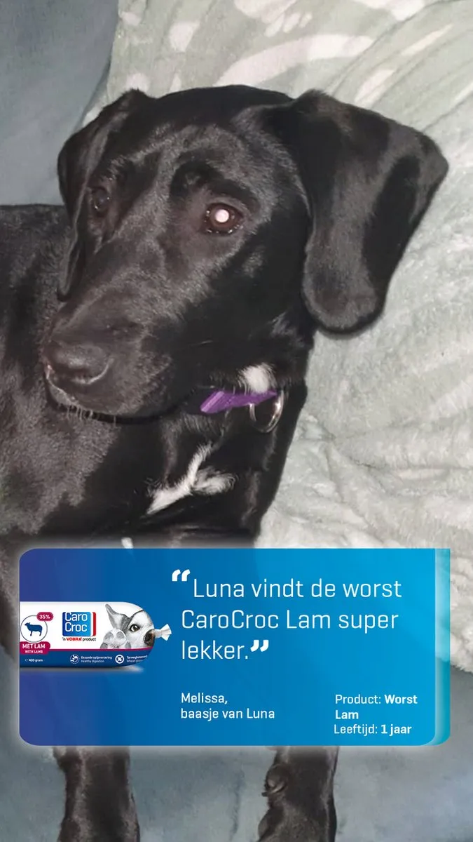 Carocroc Worst Lam 400g