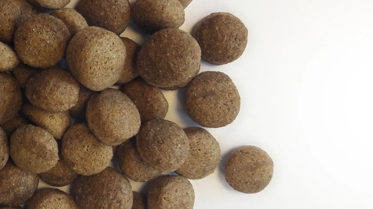 Carocroc Content Economic 15kg - Rocco Sticks