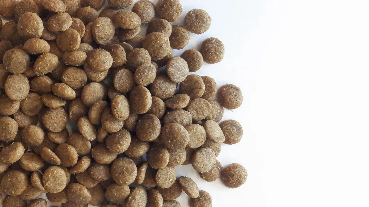 Carocroc Senior Lam/Rijst Kattenvoer 2kg - afbeelding 6 van 6