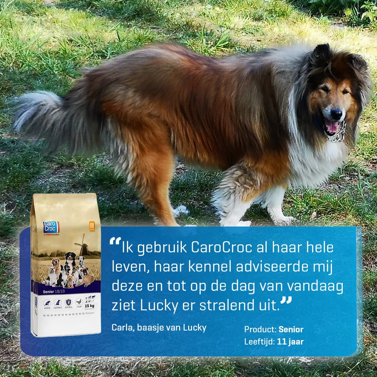 Carocroc Senior Silver 18/10 Hondenvoer 15kg