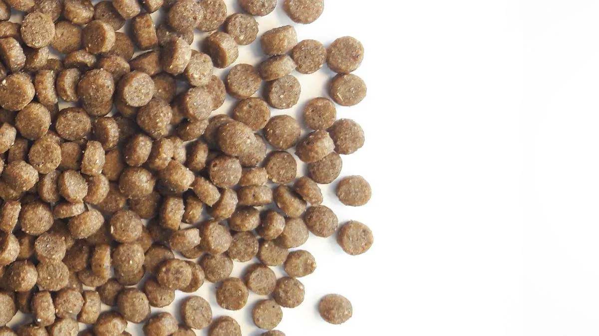Carocroc Kitten Food Kattenvoer 7 kg - afbeelding 6 van 6