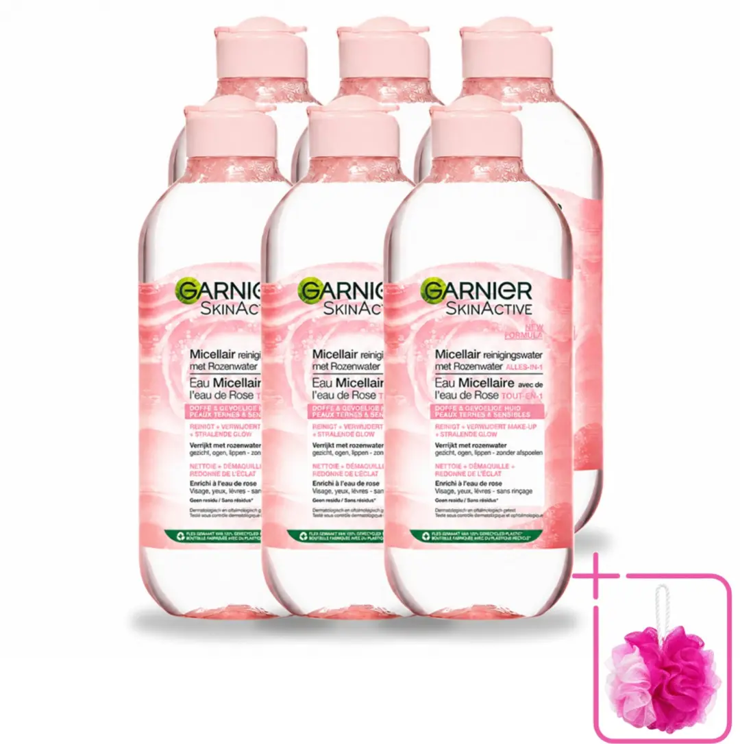 6 x Garnier