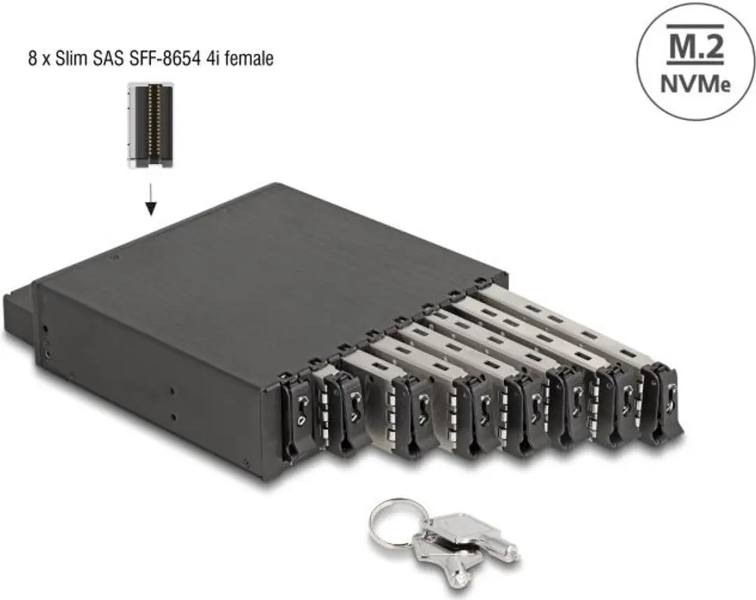 Delock 47129 Verwijderbaar Rek 8x M.2 NVMe SSD - afbeelding 2 van 2