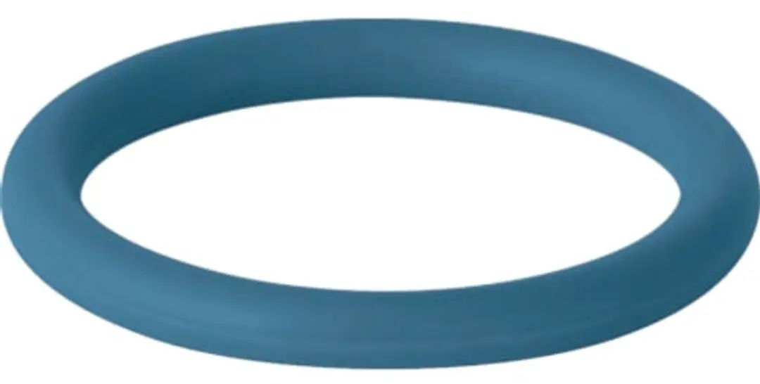 Geberit Mapress afdichtring FKM blauw, DN 100, 90893