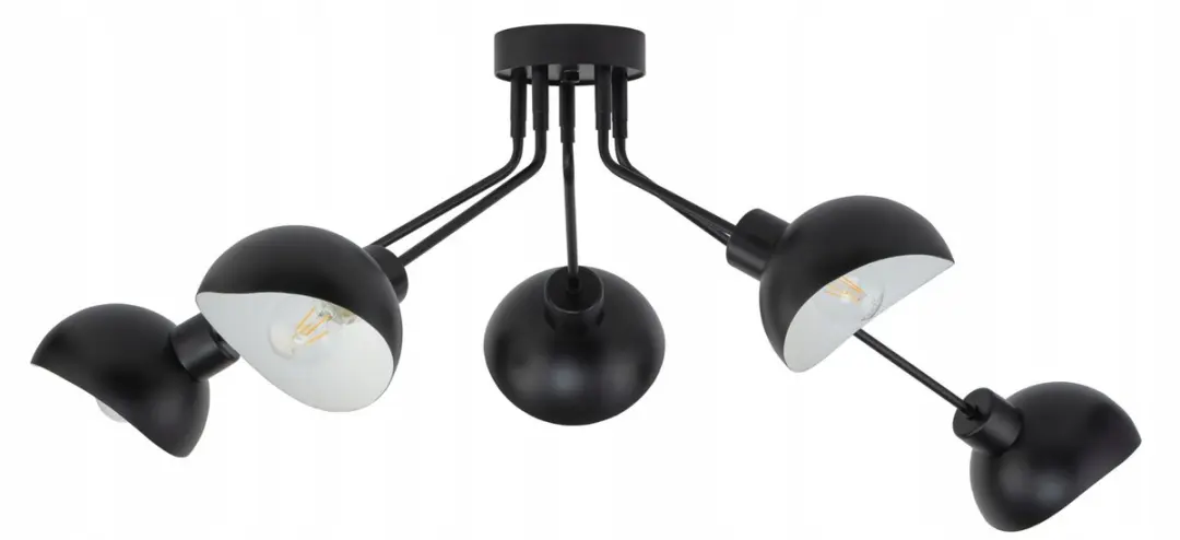 Sigma ROY 5 Plafond Lamp Zwart Wit