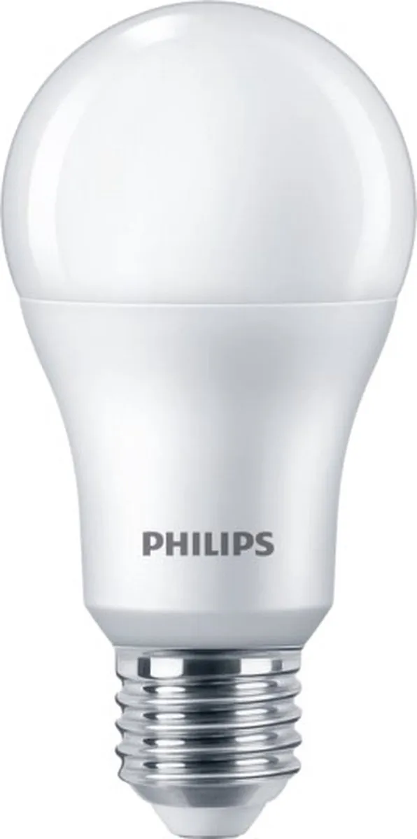 Philips LED A60 13W 1521lm Daglicht Mat