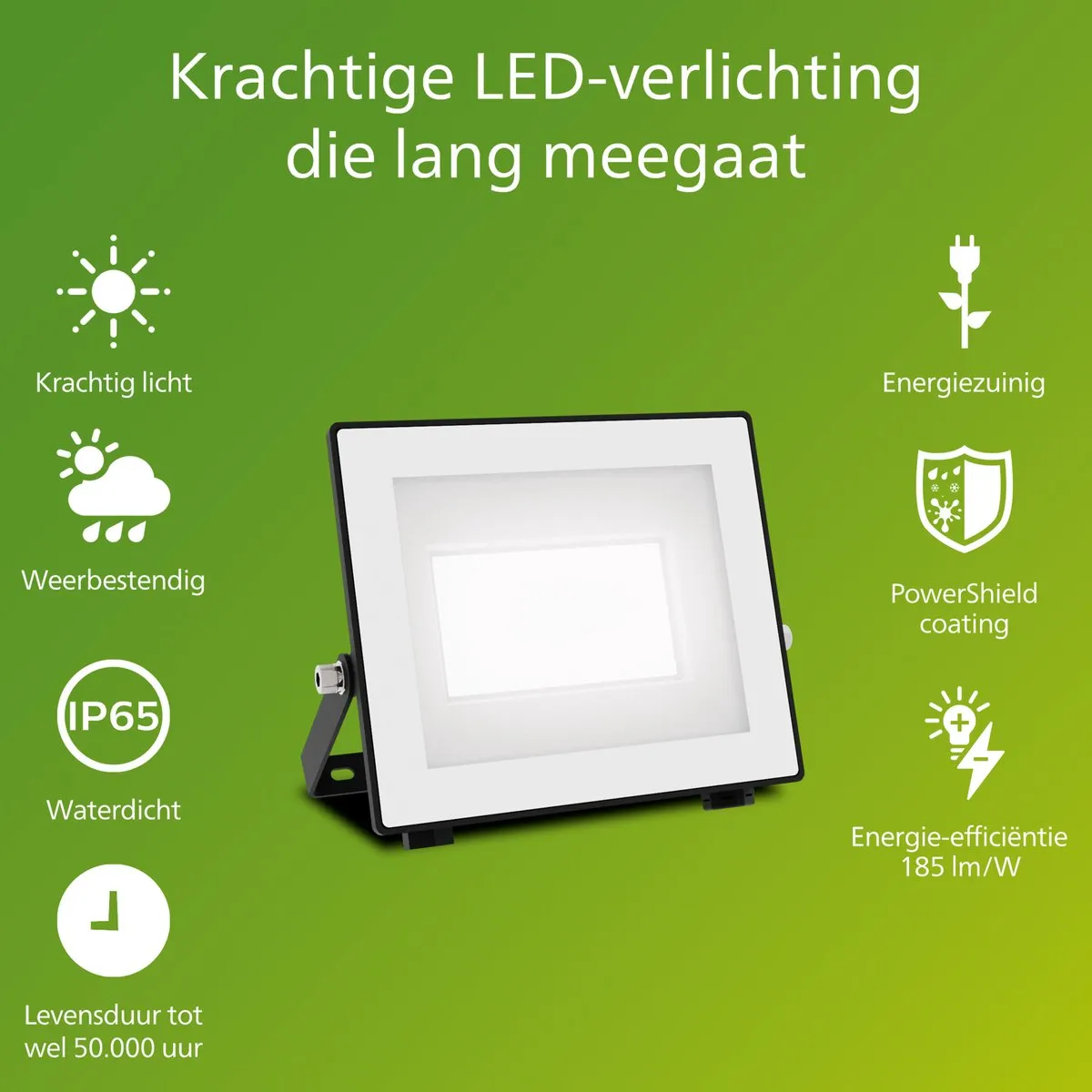 Philips Lois UltraEfficient Floodlight 14W - Koelwit 5000K - Zwart