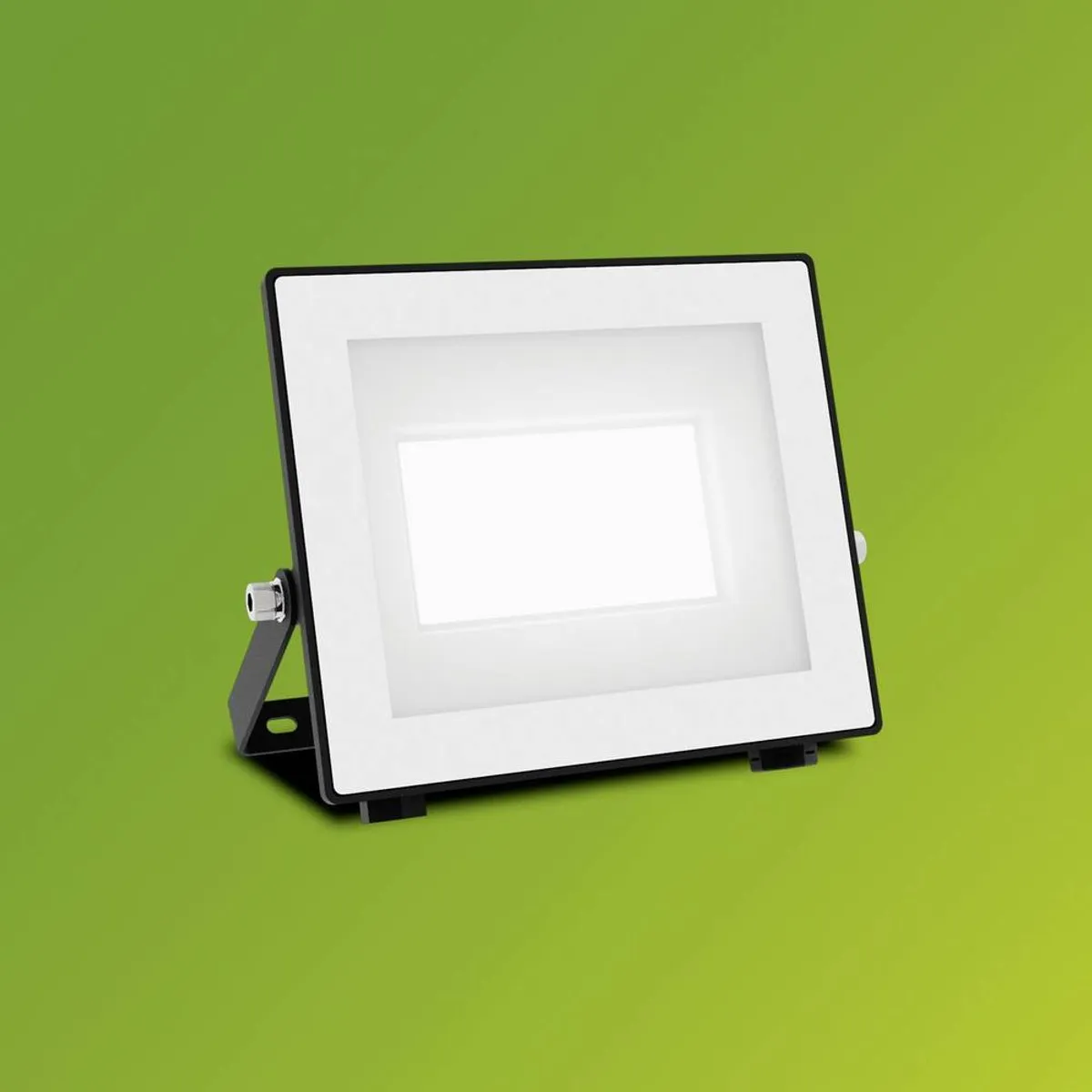 Philips Lois UltraEfficient Floodlight 14W - Koelwit 5000K - Zwart
