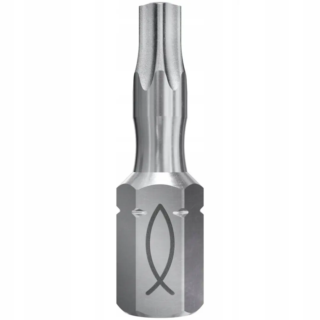 2x Torx Bit TX40 1/4" 25mm