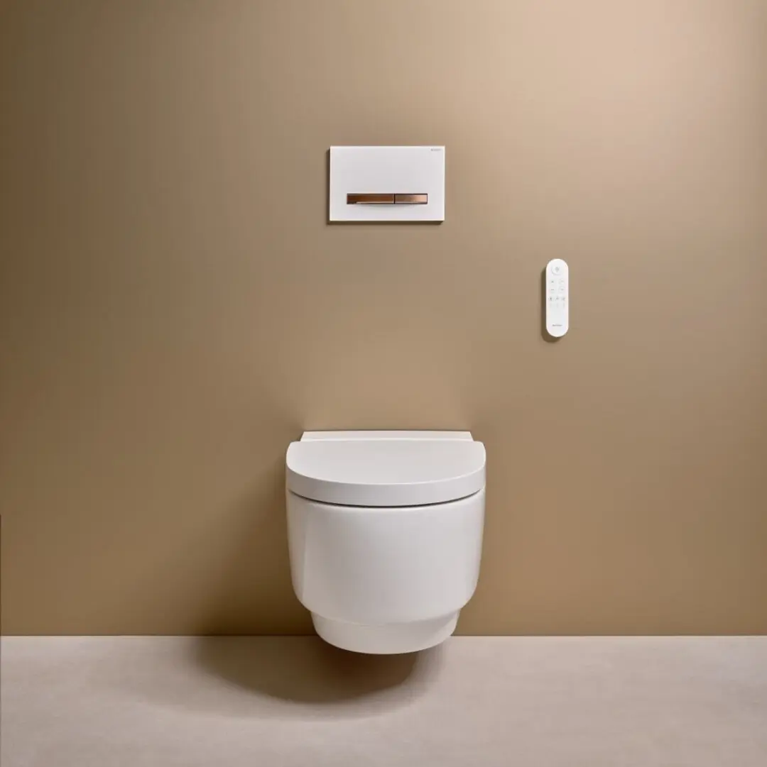 Geberit AquaClean Mera Afstandsbediening 245.840.01.1 - Wit - afbeelding 3 van 4