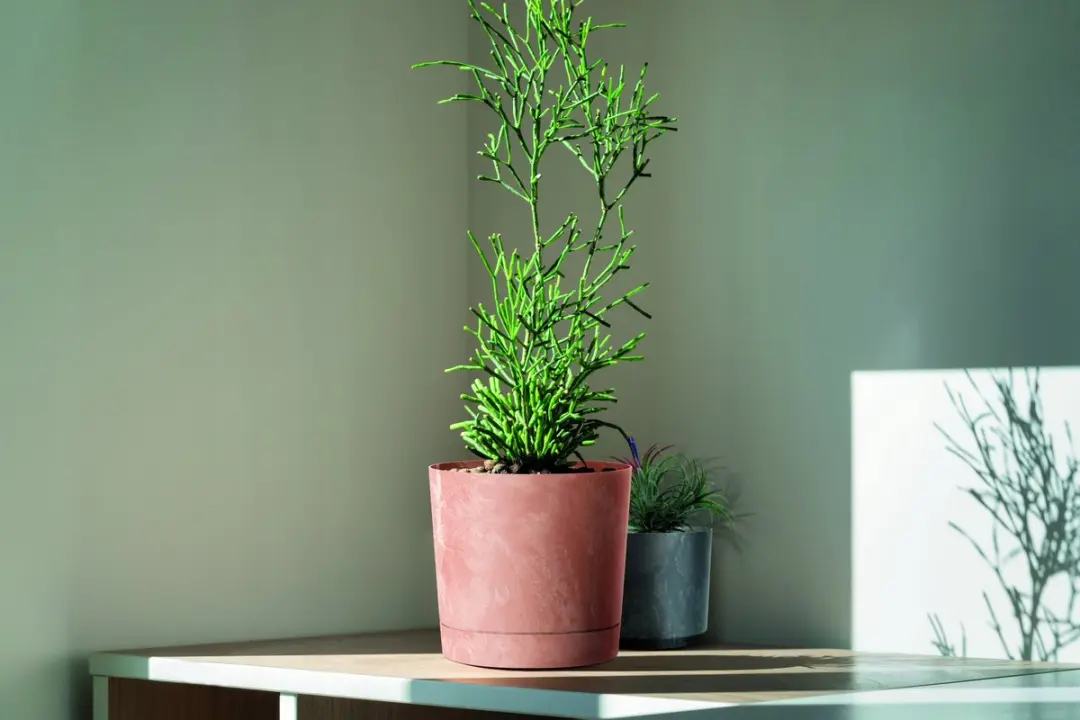 Tubo Beton Effect Pot met Schotel 40cm