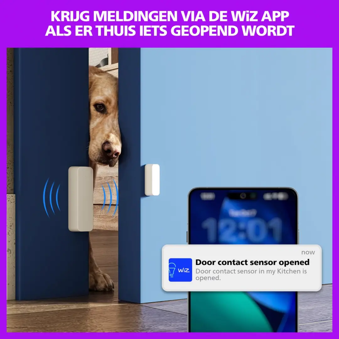 Philips Smart Lighting Contactsensor - 2 Stuks - afbeelding 3 van 6