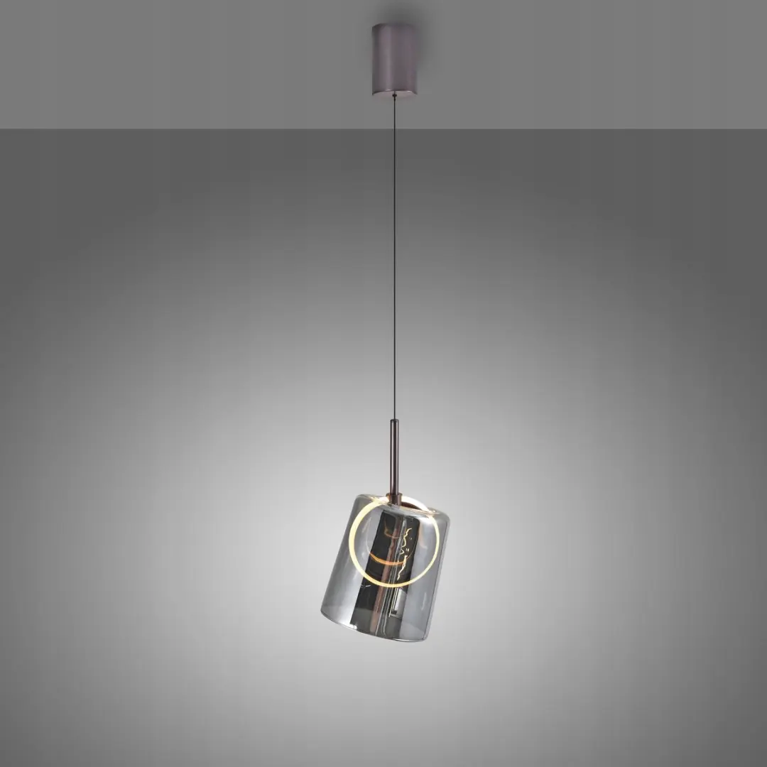 Paul Neuhaus Zula Hanglamp LED 6W - 60-200cm Rookgrijs Glas - afbeelding 3 van 5