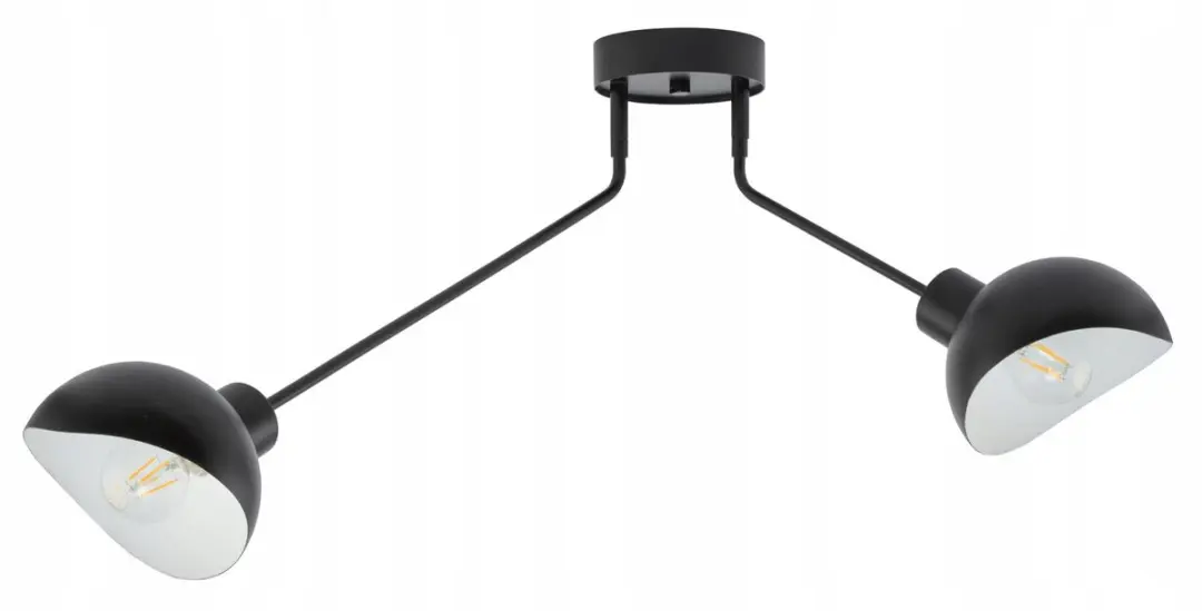 Sigma Roy 2 Plafond Zwart Wit